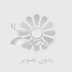 MV WEB
